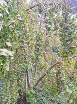 팜모닝 자유주제·사진전 게시글 이미지