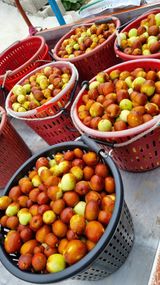 팜모닝 자유주제·자유게시판 게시글 이미지