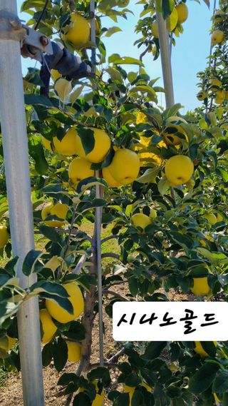 조동원님의 자유주제 · 자유게시판 작성글 사진