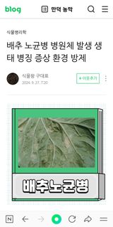 팜모닝 배추·영농일지 게시글 이미지