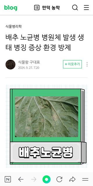 김영호님의 작성글 사진