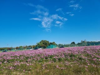 김현숙 블루베리 작두콩님의 자유주제 · 사진전 작성글 사진