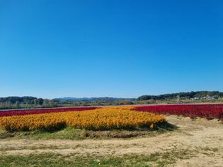 김현숙 블루베리 작두콩님의 자유주제 · 사진전 작성글 사진