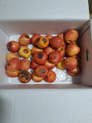 강래규님의 자유주제 · 자유게시판 작성글 사진