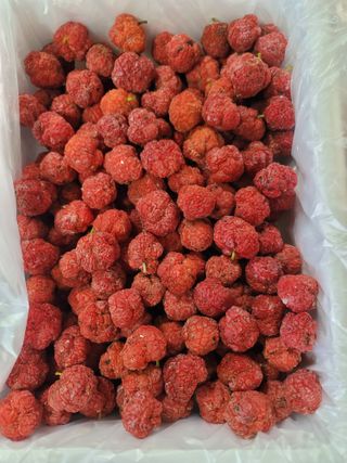 바우앤 솔 서진곤님의 기타작물 · 영농일지 작성글 사진