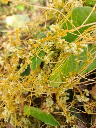 김영민님의 자유주제 · 자유게시판 작성글 사진