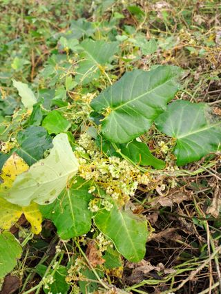 김영민님의 자유주제 · 자유게시판 작성글 사진