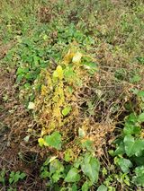 팜모닝 자유주제·자유게시판 게시글 이미지