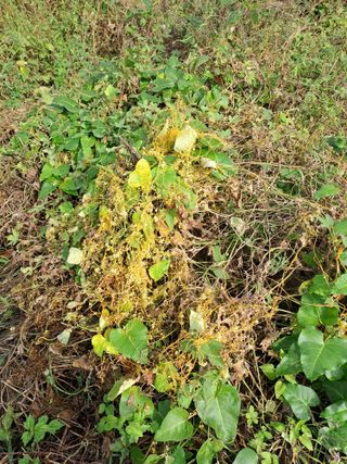 김영민님의 자유주제 · 자유게시판 작성글 사진