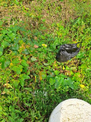 김영민님의 자유주제 · 자유게시판 작성글 사진