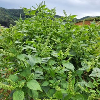 김은경님의 작성글 사진