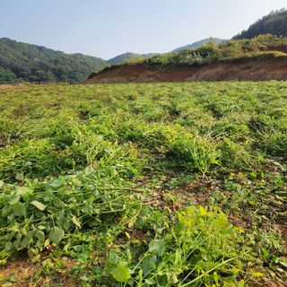 김은경님의 작성글 사진