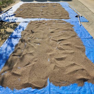 김은경님의 작성글 사진