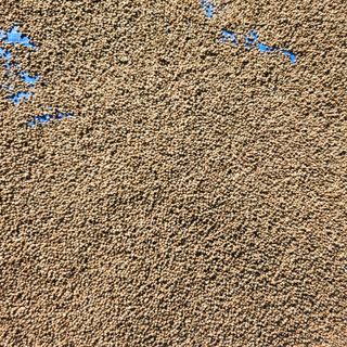 김은경님의 작성글 사진