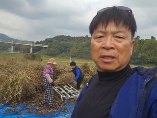 홍성덕님의 배추 · 영농일지 작성글 사진