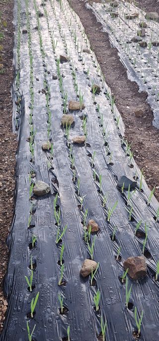 이정일님의 작성글 사진