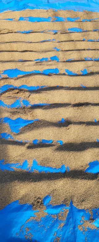 최상희님의 콩 · 영농일지 작성글 사진