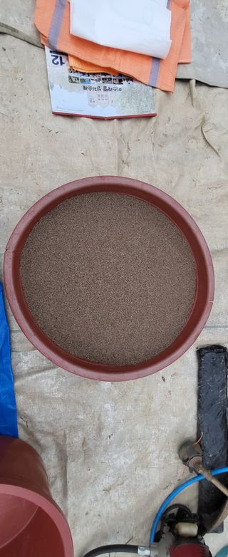 최상희님의 콩 · 영농일지 작성글 사진