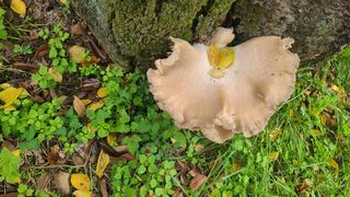 백창석님의 자유주제 · 자유게시판 작성글 사진