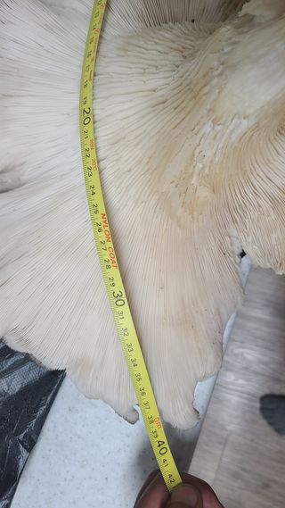 백창석님의 자유주제 · 자유게시판 작성글 사진