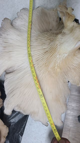 백창석님의 자유주제 · 자유게시판 작성글 사진