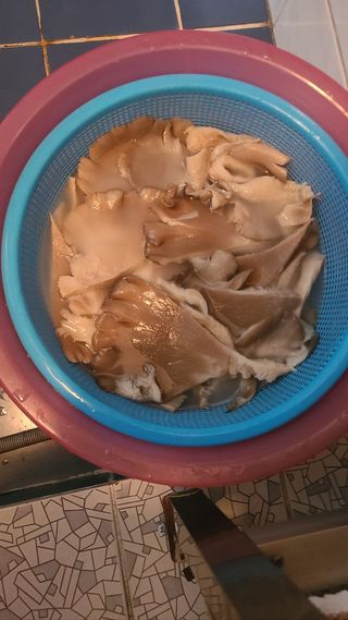 백창석님의 자유주제 · 자유게시판 작성글 사진