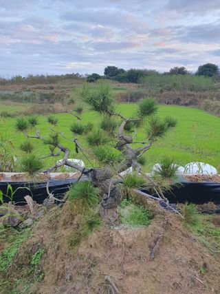 멋진소나무님의 자유주제 · 자유게시판 작성글 사진