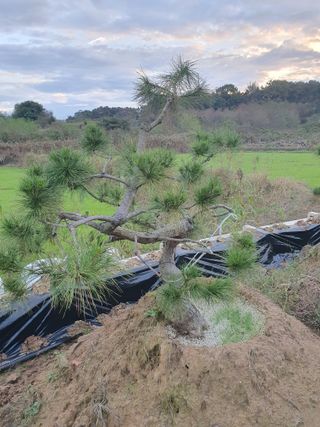 멋진소나무님의 자유주제 · 자유게시판 작성글 사진