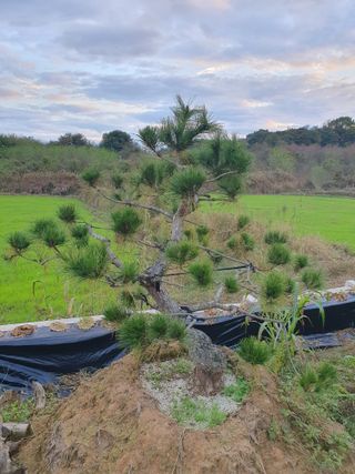 멋진소나무님의 자유주제 · 자유게시판 작성글 사진