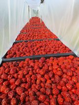 팜모닝 기타작물·영농일지 게시글 이미지