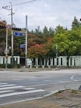 팜모닝 자유주제·자유게시판 게시글 이미지