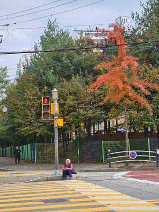 조정숙(1955)님의 자유주제 · 자유게시판 작성글 사진