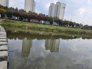 조정숙(1955)님의 자유주제 · 자유게시판 작성글 사진