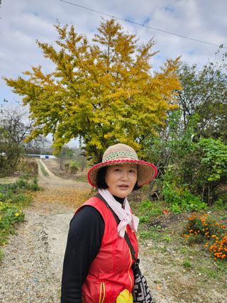 조정숙(1955)님의 자유주제 · 자유게시판 작성글 사진