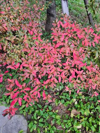 조정숙(1955)님의 자유주제 · 자유게시판 작성글 사진