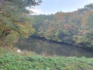 김철원,바람산인님의 자유주제 · 자유게시판 작성글 사진