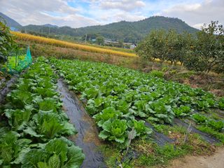 백호순(후추)님의 자유주제 · 자유게시판 작성글 사진