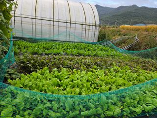 백호순(후추)님의 자유주제 · 자유게시판 작성글 사진