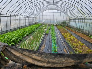 백호순(후추)님의 자유주제 · 자유게시판 작성글 사진