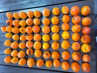 수철리님의 자유주제 · 자유게시판 작성글 사진