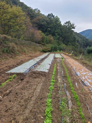 두릅나무9798님의 자유주제 · 자유게시판 작성글 사진