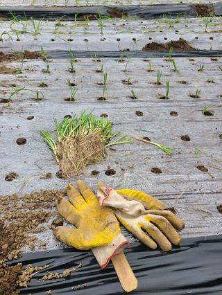 두릅나무9798님의 자유주제 · 자유게시판 작성글 사진