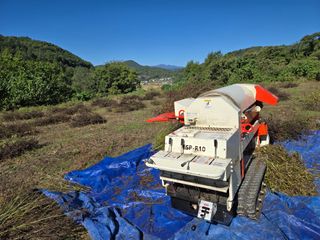 민석규님의 들깨 · 영농일지 작성글 사진