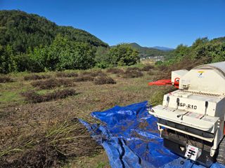 민석규님의 들깨 · 영농일지 작성글 사진