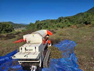 민석규님의 들깨 · 영농일지 작성글 사진