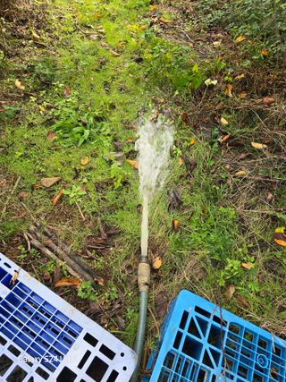 대왕소나무님의 벼 · 영농일지 작성글 사진