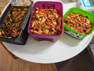 충남공주이도은님의 자유주제 · 자유게시판 작성글 사진