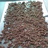 팜모닝 자유주제·자유게시판 게시글 이미지