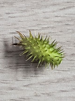 박정애님의 자유주제 · 자유게시판 작성글 사진