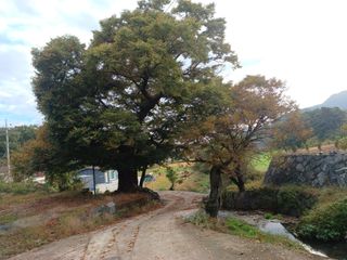 오영도님의 자유주제 · 자유게시판 작성글 사진